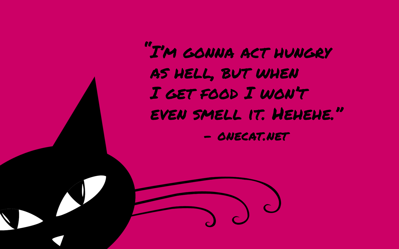 Hungry, Not Hungry Cats