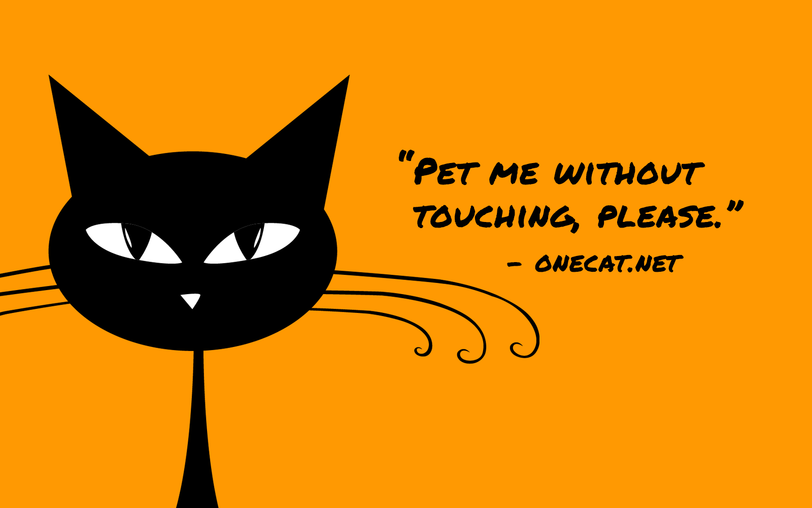 Pet Your Cat Without Touching